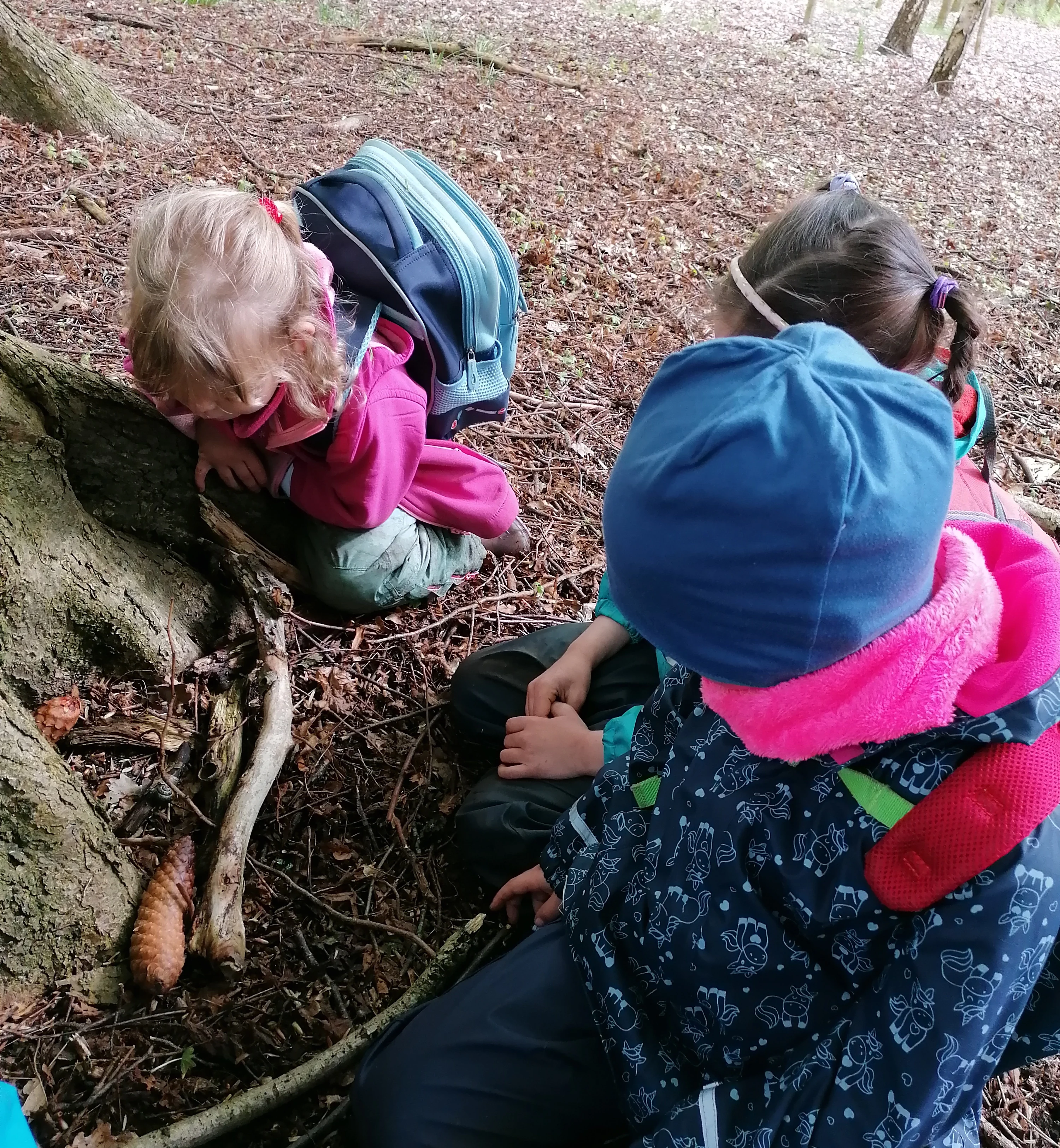 Kinder erleben Natur und entdecken gemeinsam ihre Umwelt