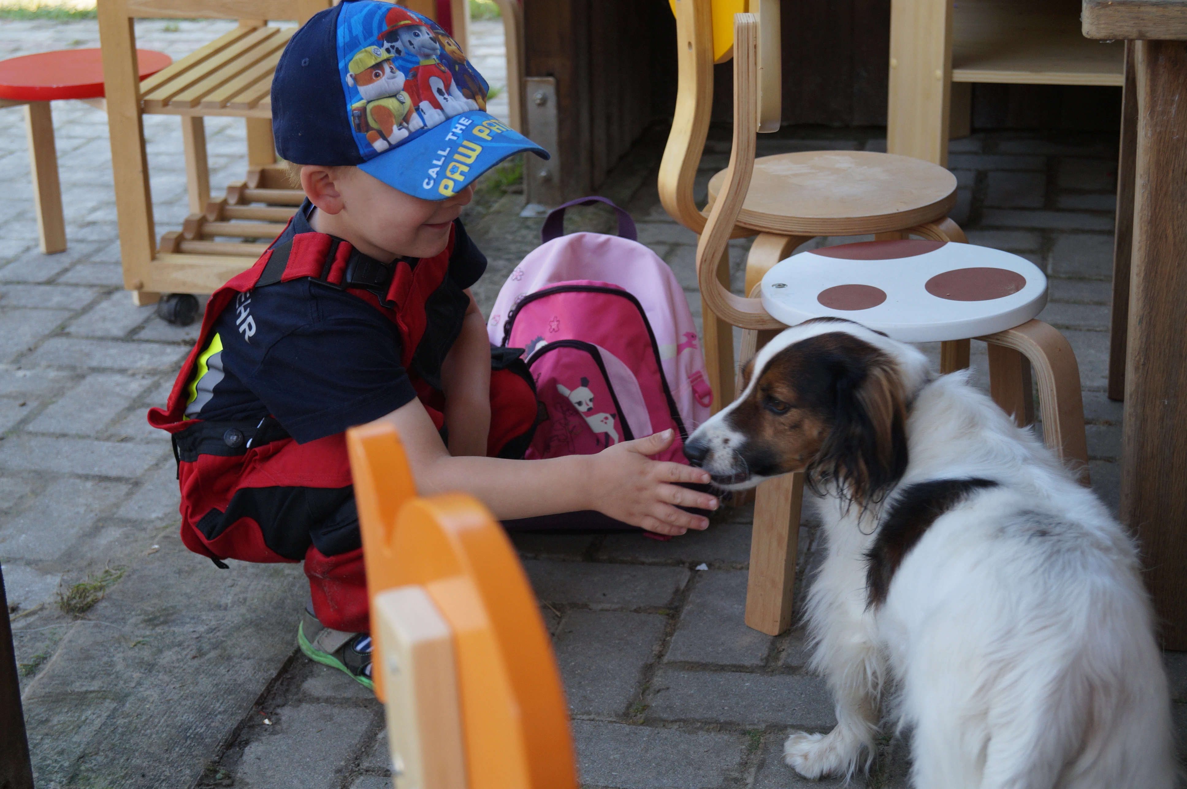 Kind der KiTa Wittensand bei der tiergestützten Pädagogik mit Therapiehund